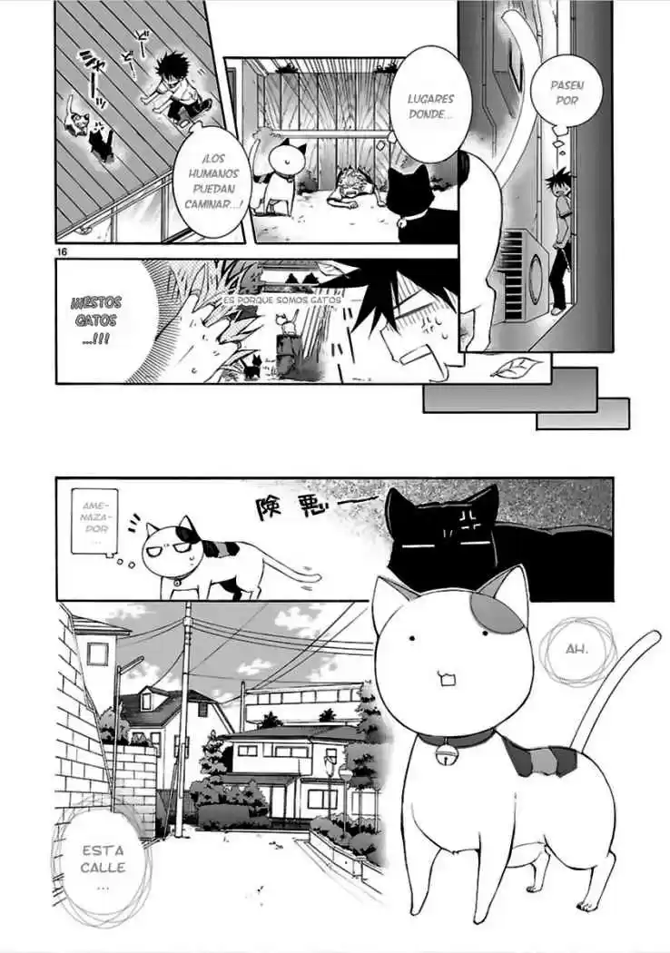 Nyan koi (2007) - Capítulo 13 - Página 17 - LectorTMOo