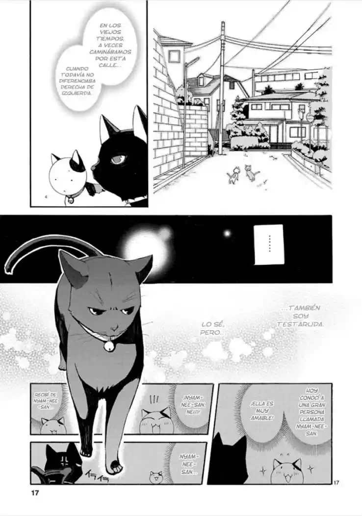 Nyan koi (2007) - Capítulo 13 - Página 18 - LectorTMOo