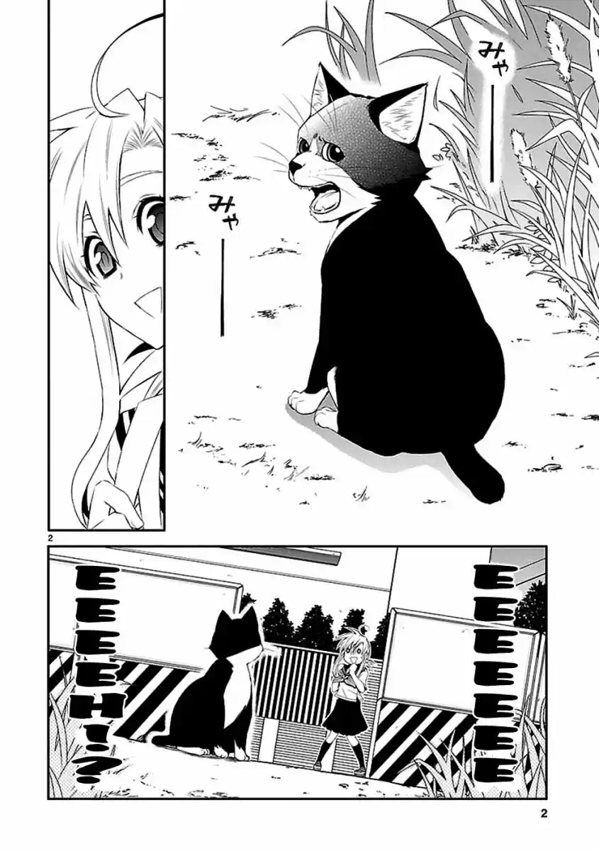 Nyan koi (2007) - Capítulo 32 - Página 4 - LectorTMOo