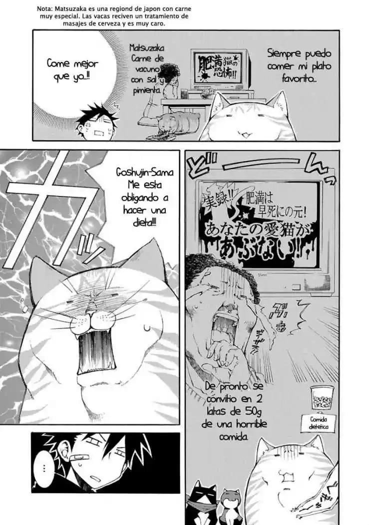 Nyan koi (2007) - Capítulo 8 - Página 11 - LectorTMOo