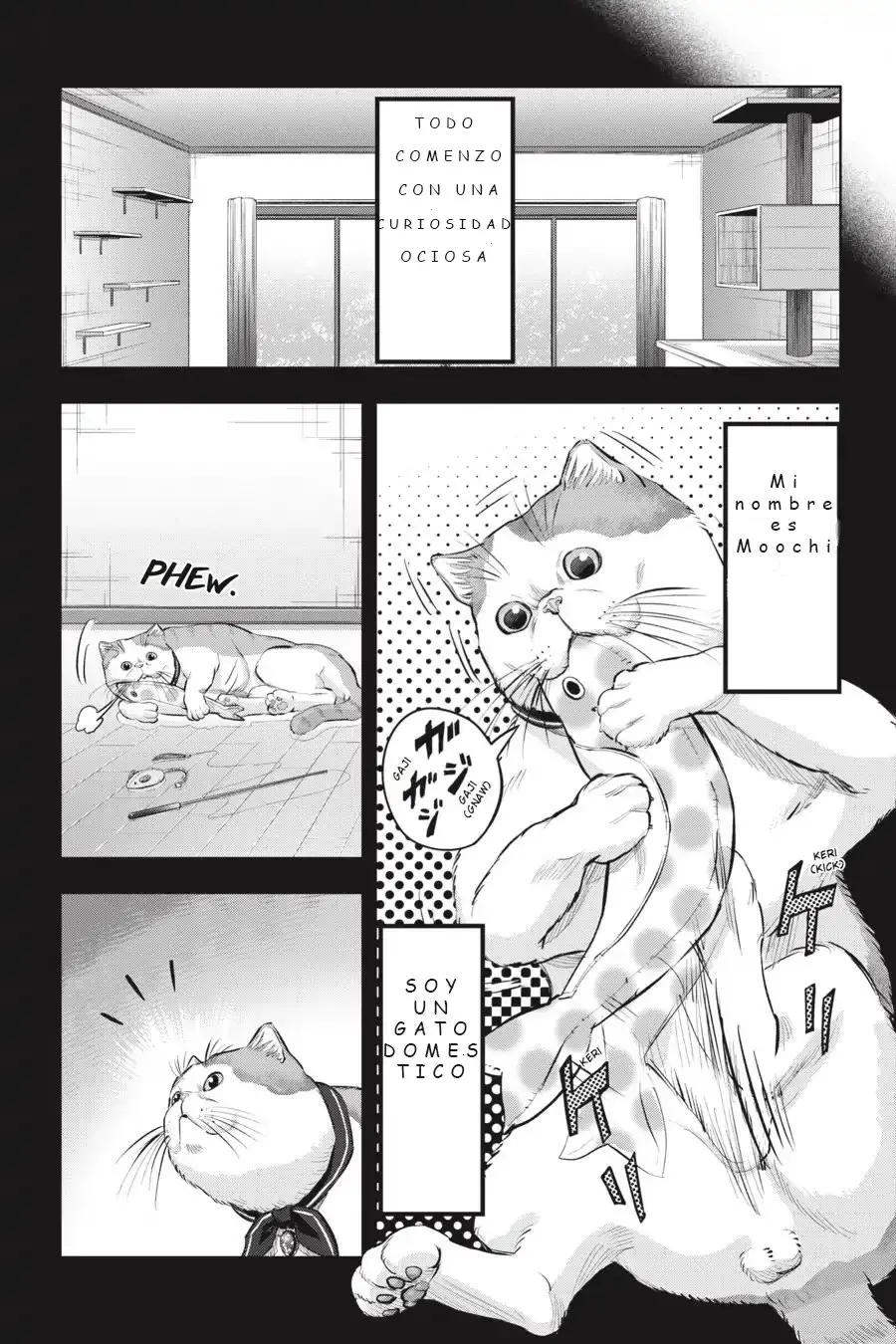 NYANKEES (2019) - Capítulo 10 - Página 9 - LectorTMOo