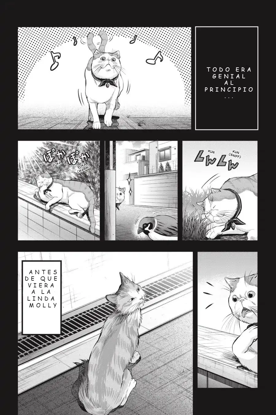 NYANKEES (2019) - Capítulo 10 - Página 27 - LectorTMOo