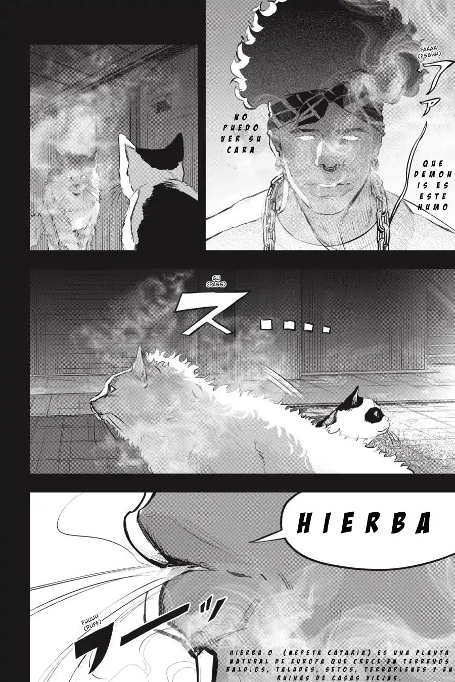 NYANKEES (2019) - Capítulo 11 - Página 17 - LectorTMOo