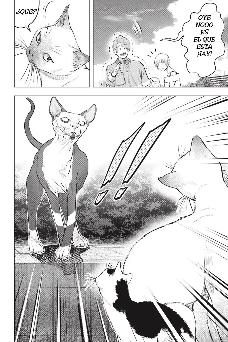 NYANKEES (2019) - Capítulo 12 - Página 35 - LectorTMOo