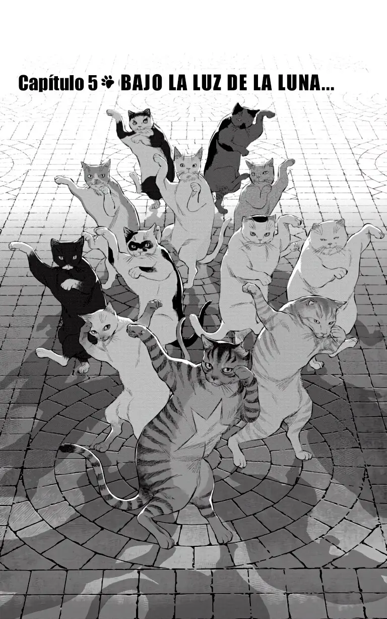 NYANKEES (2019) - Capítulo 5 - Página 2 - LectorTMOo