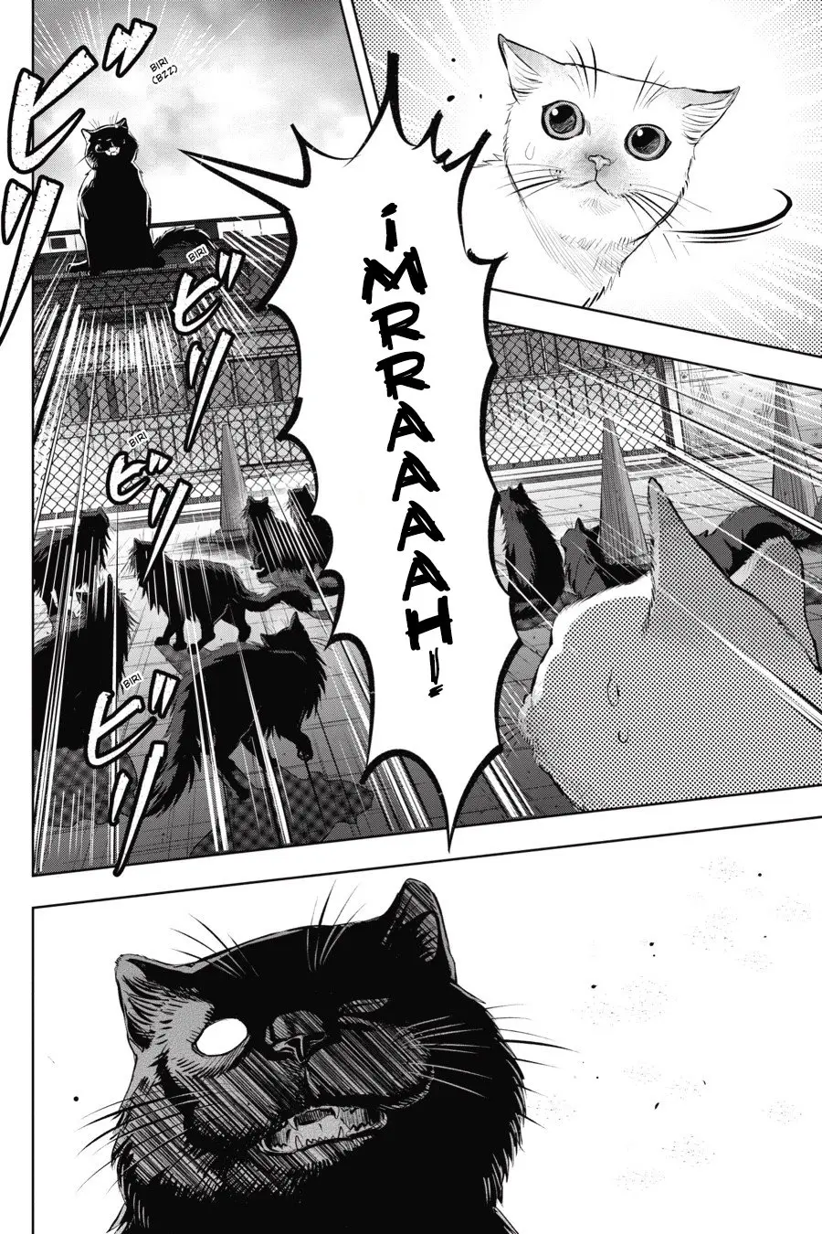 NYANKEES (2019) - Capítulo 6 - Página 6 - LectorTMOo