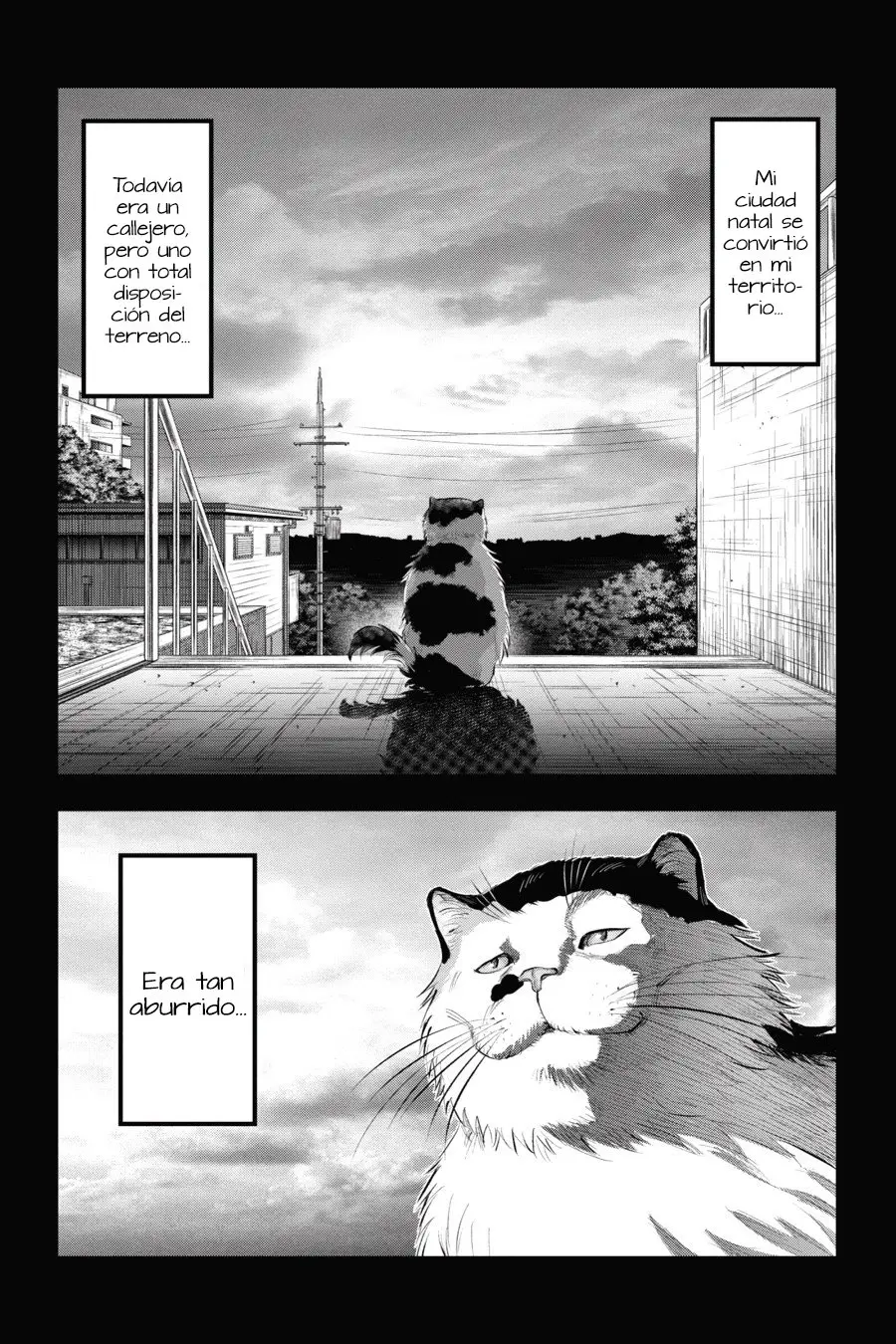 NYANKEES (2019) - Capítulo 7 - Página 8 - LectorTMOo
