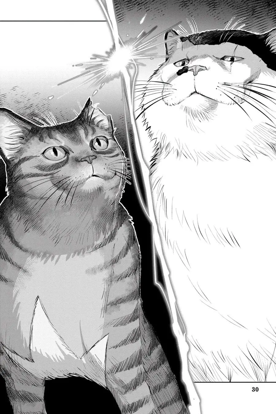 NYANKEES (2019) - Capítulo 7 - Página 32 - LectorTMOo