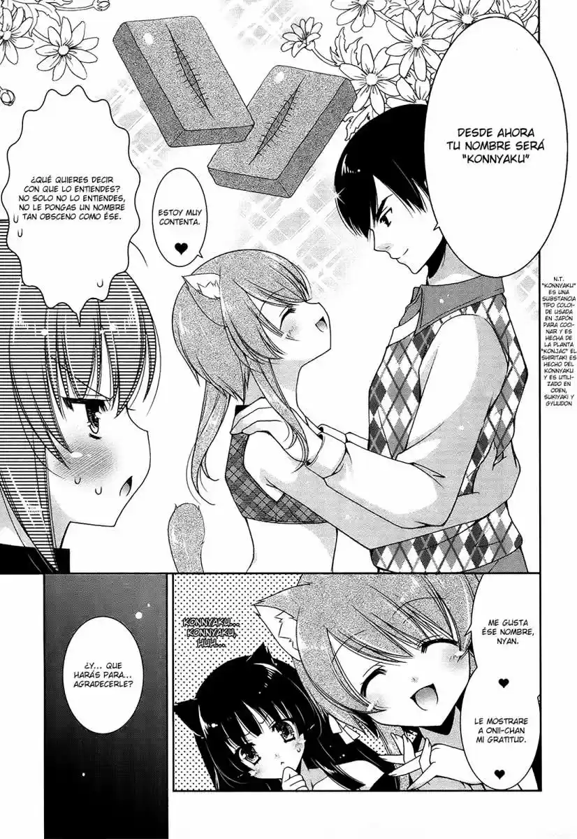 Nyatto! (2009) - Capítulo 12 - Página 15 - LectorTMOo