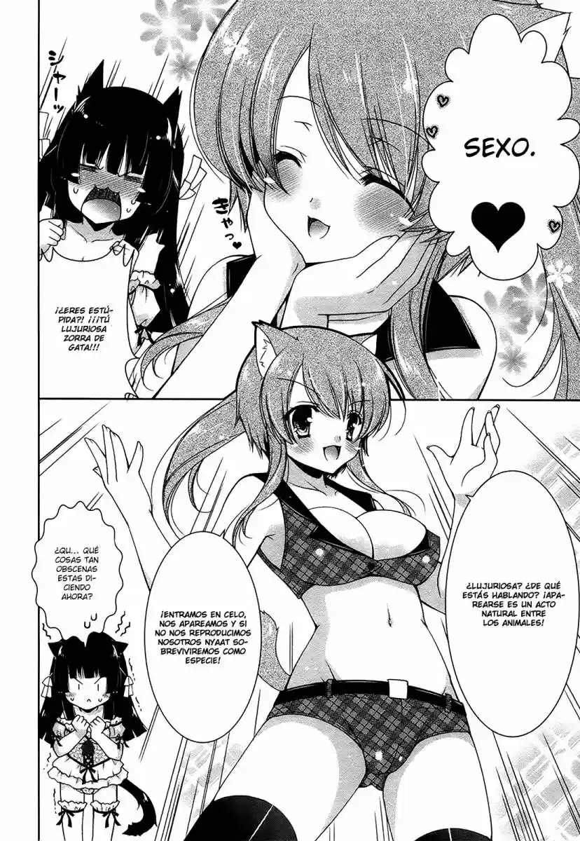Nyatto! (2009) - Capítulo 12 - Página 16 - LectorTMOo