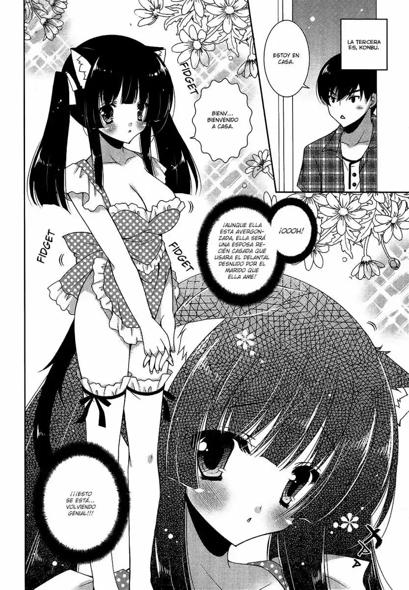Nyatto! (2009) - Capítulo 13 - Página 30 - LectorTMOo
