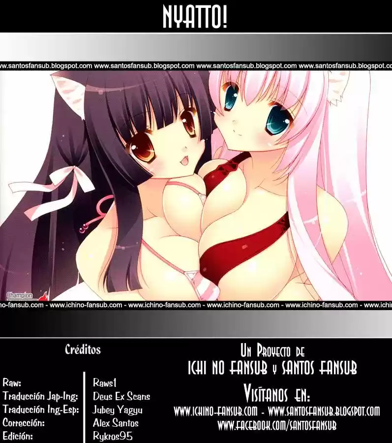 Nyatto! (2009) - Capítulo 15 - Página 33 - LectorTMOo