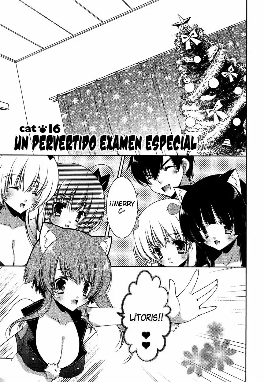 Nyatto! (2009) - Capítulo 16 - Página 2 - LectorTMOo