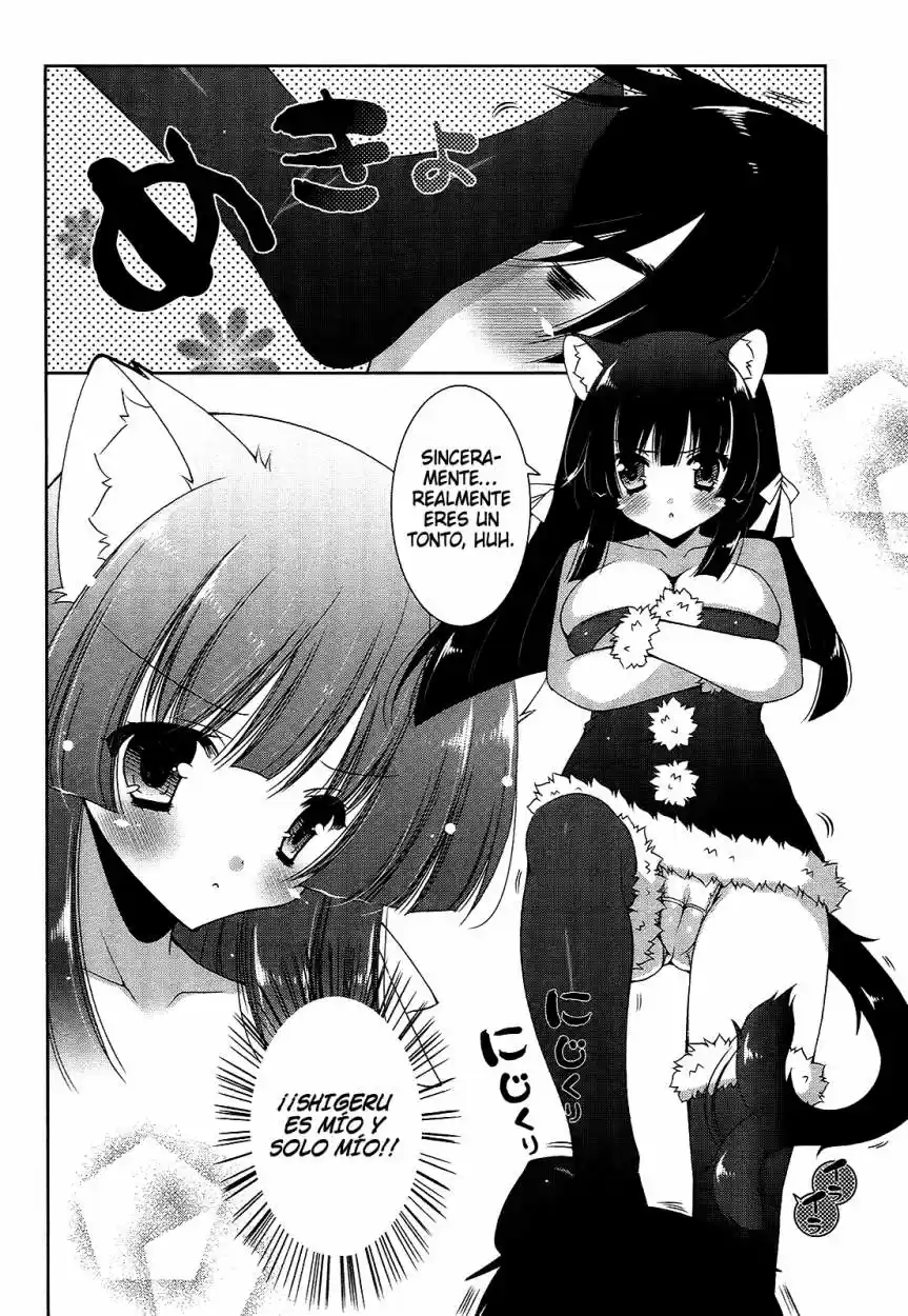 Nyatto! (2009) - Capítulo 16 - Página 19 - LectorTMOo