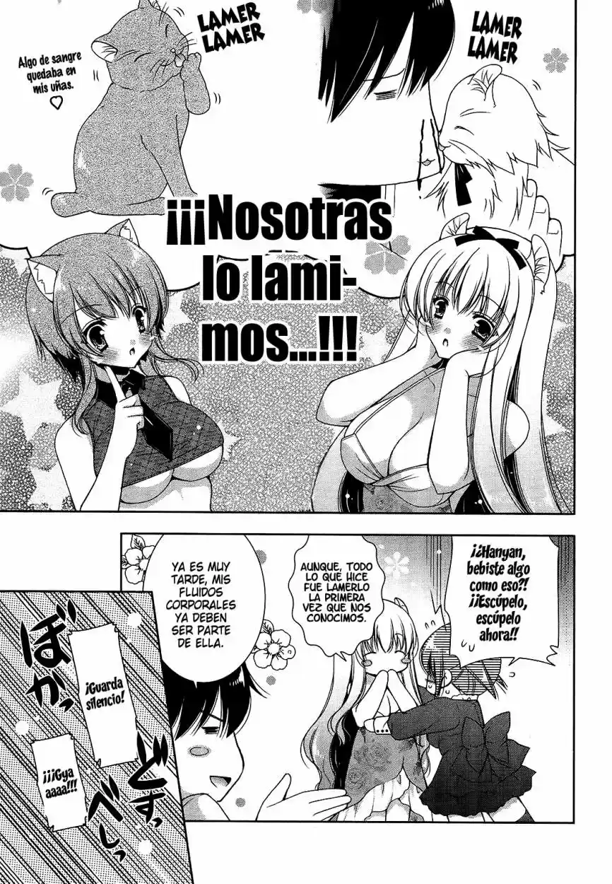 Nyatto! (2009) - Capítulo 17 - Página 5 - LectorTMOo