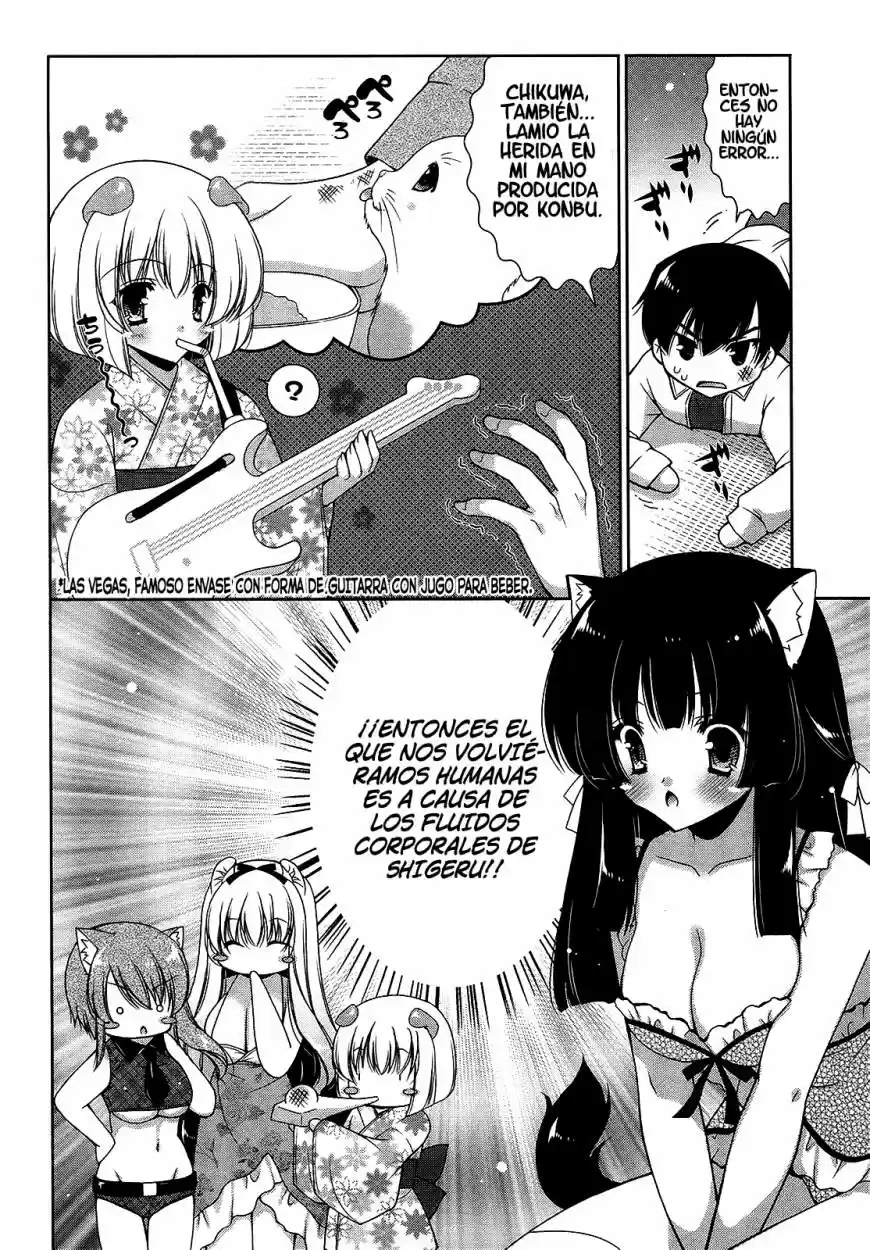 Nyatto! (2009) - Capítulo 17 - Página 6 - LectorTMOo