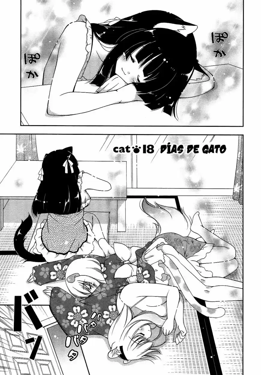 Nyatto! (2009) - Capítulo 18 - Página 1 - LectorTMOo