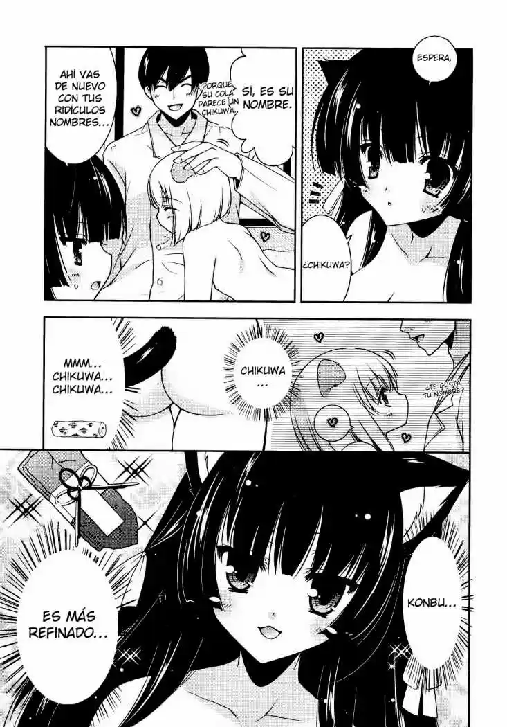 Nyatto! (2009) - Capítulo 4 - Página 8 - LectorTMOo