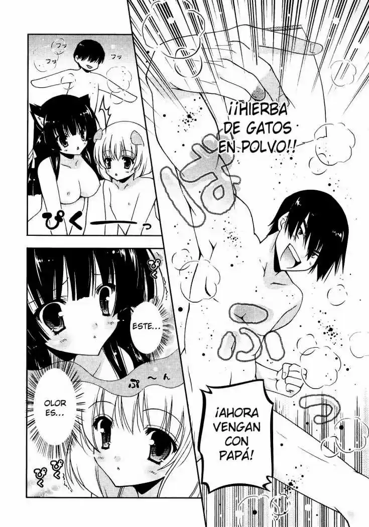 Nyatto! (2009) - Capítulo 4 - Página 23 - LectorTMOo