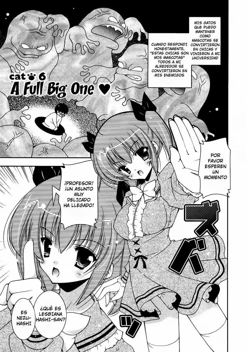Nyatto! (2009) - Capítulo 6 - Página 1 - LectorTMOo