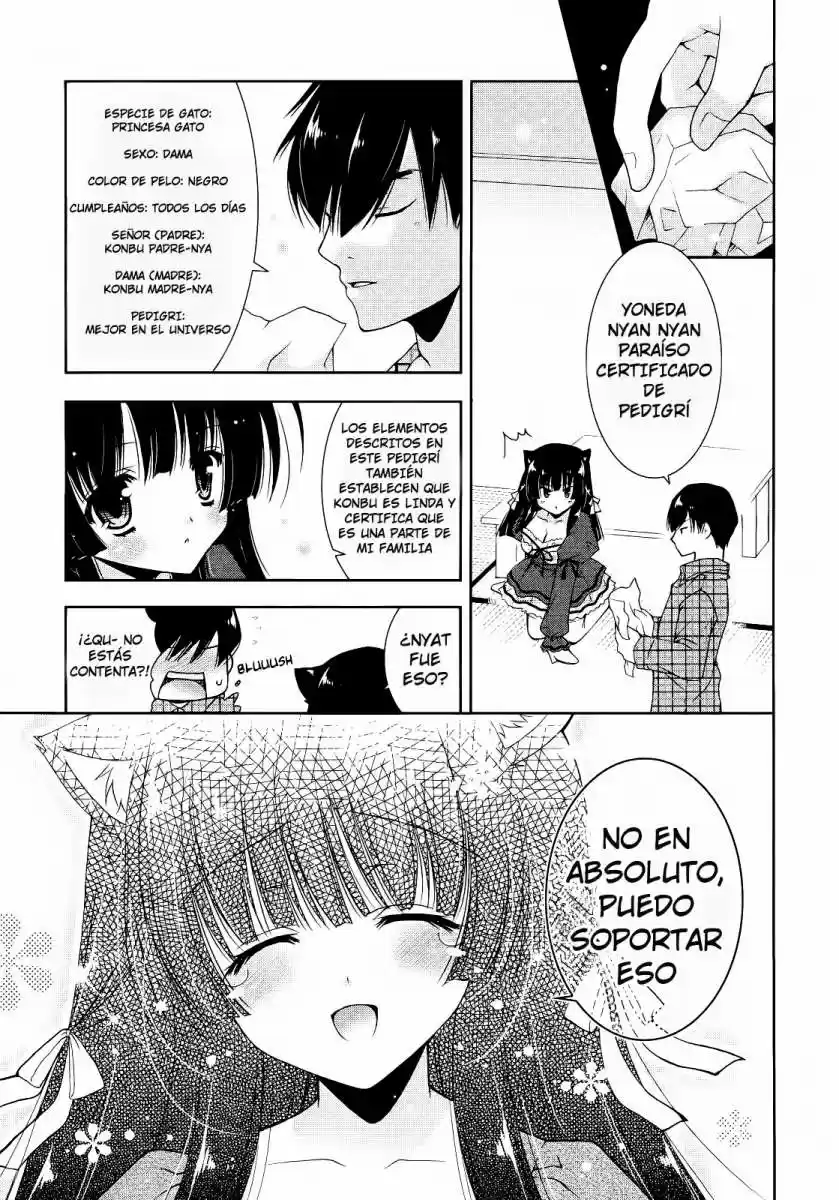 Nyatto! (2009) - Capítulo 6 - Página 26 - LectorTMOo
