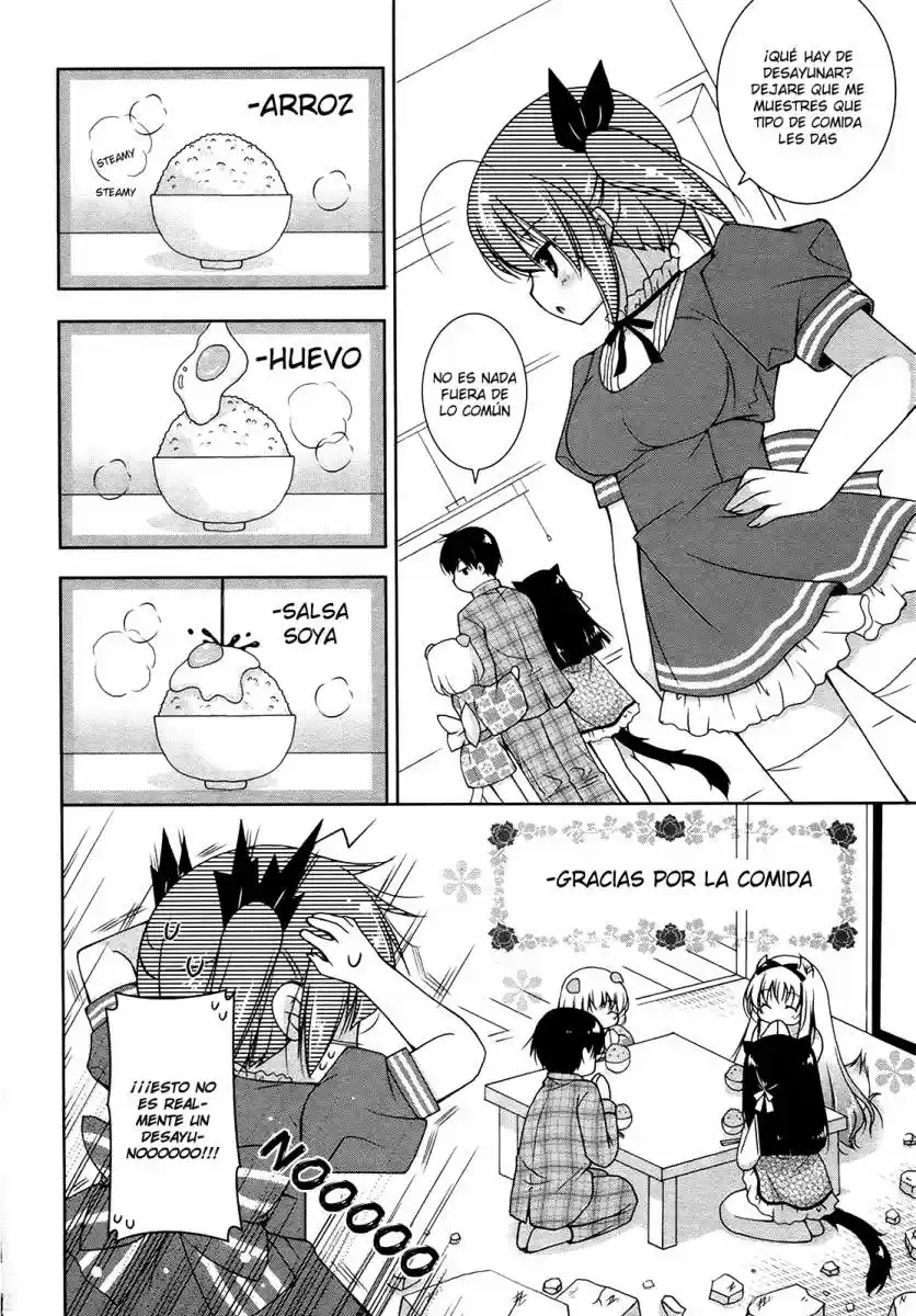 Nyatto! (2009) - Capítulo 7 - Página 18 - LectorTMOo