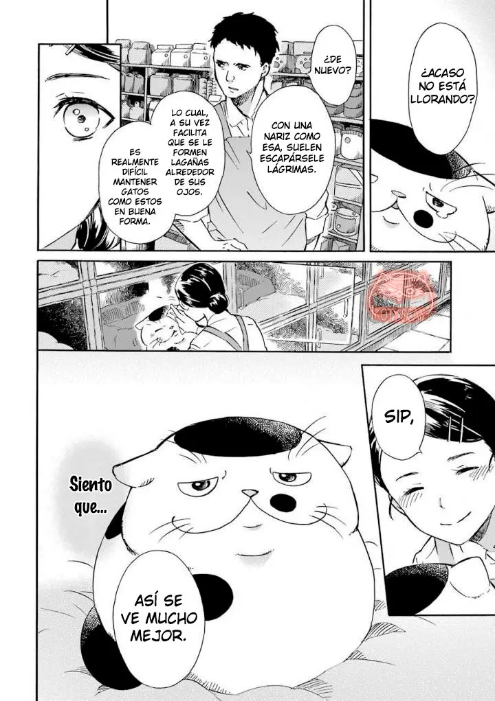 Ojisama to Neko (2017) - Capítulo 15.6 - Página 2 - LectorTMOo