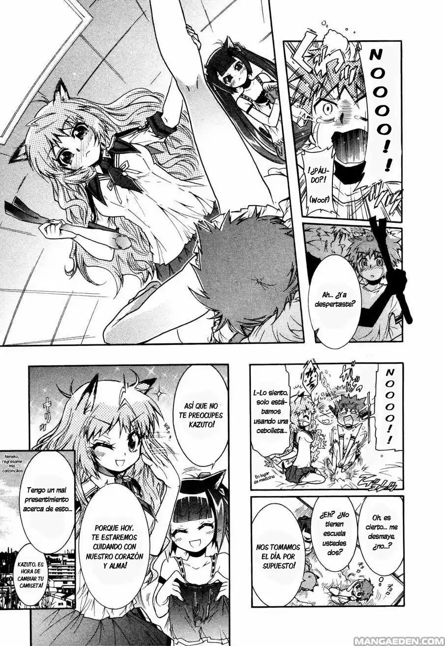 Okasu Bekarazu!! Junketsu Tokku! (2010) - Capítulo 13 - Página 7 - LectorTMOo