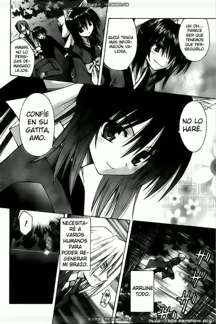 Omamori Himari (2006) - Capítulo 39 - Página 17 - LectorTMOo