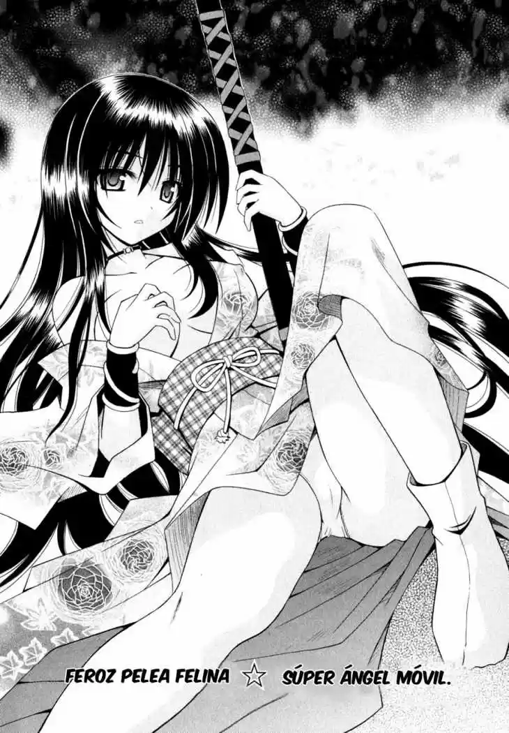 Omamori Himari (2006) - Capítulo 43 - Página 11 - LectorTMOo