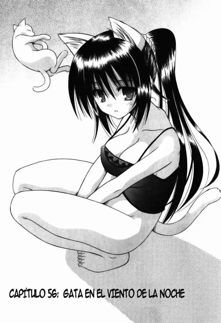 Omamori Himari (2006) - Capítulo 56 - Página 11 - LectorTMOo