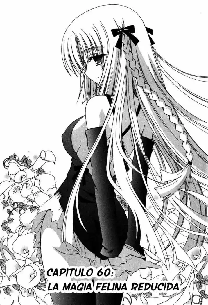 Omamori Himari (2006) - Capítulo 60 - Página 5 - LectorTMOo