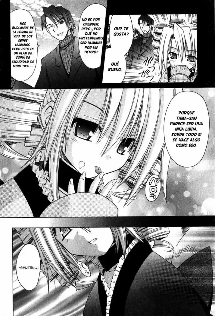 Omamori Himari (2006) - Capítulo 61 - Página 18 - LectorTMOo