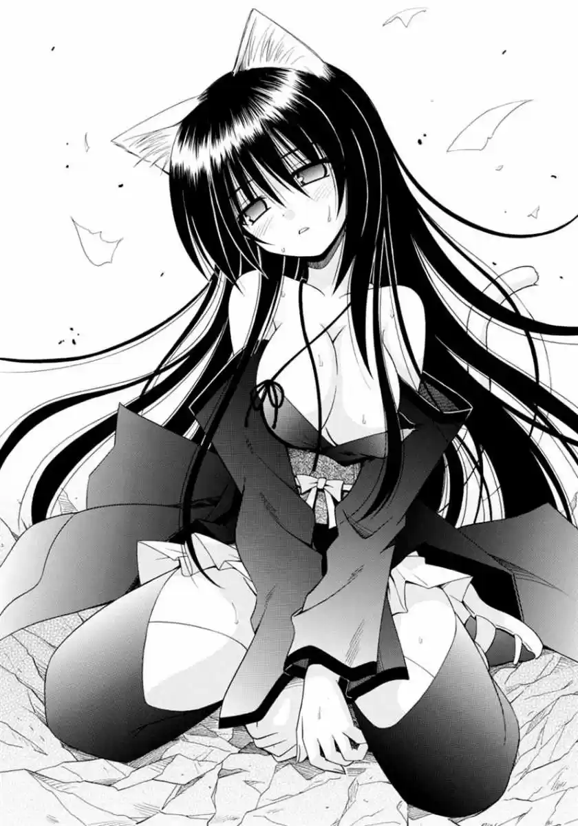 Omamori Himari (2006) - Capítulo 63 - Página 18 - LectorTMOo