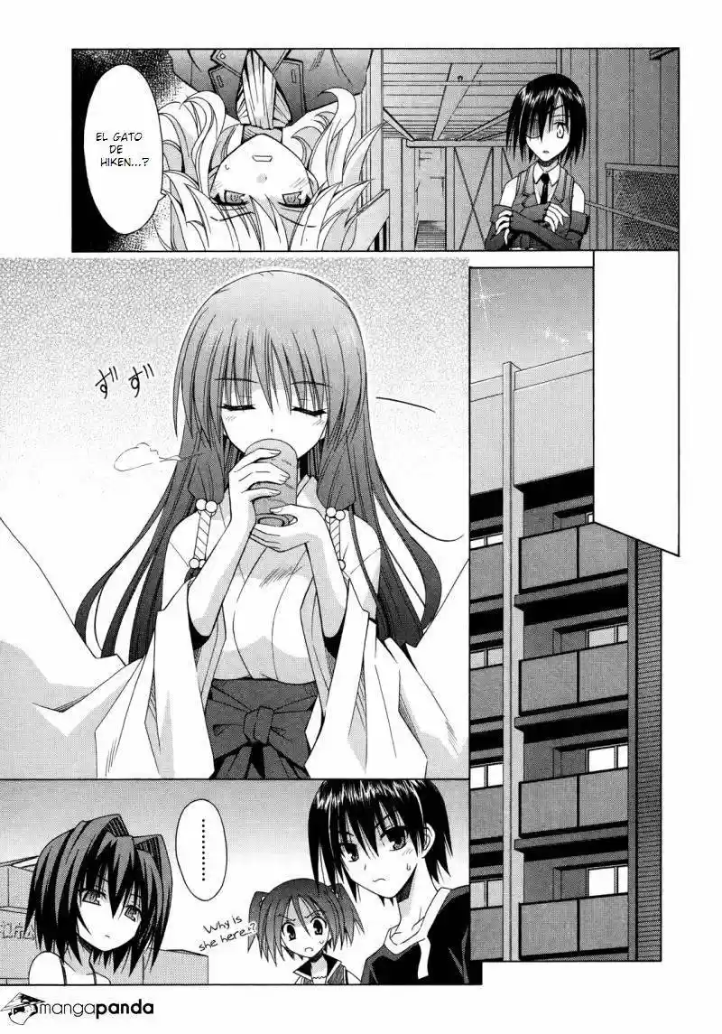 Omamori Himari (2006) - Capítulo 69 - Página 4 - LectorTMOo