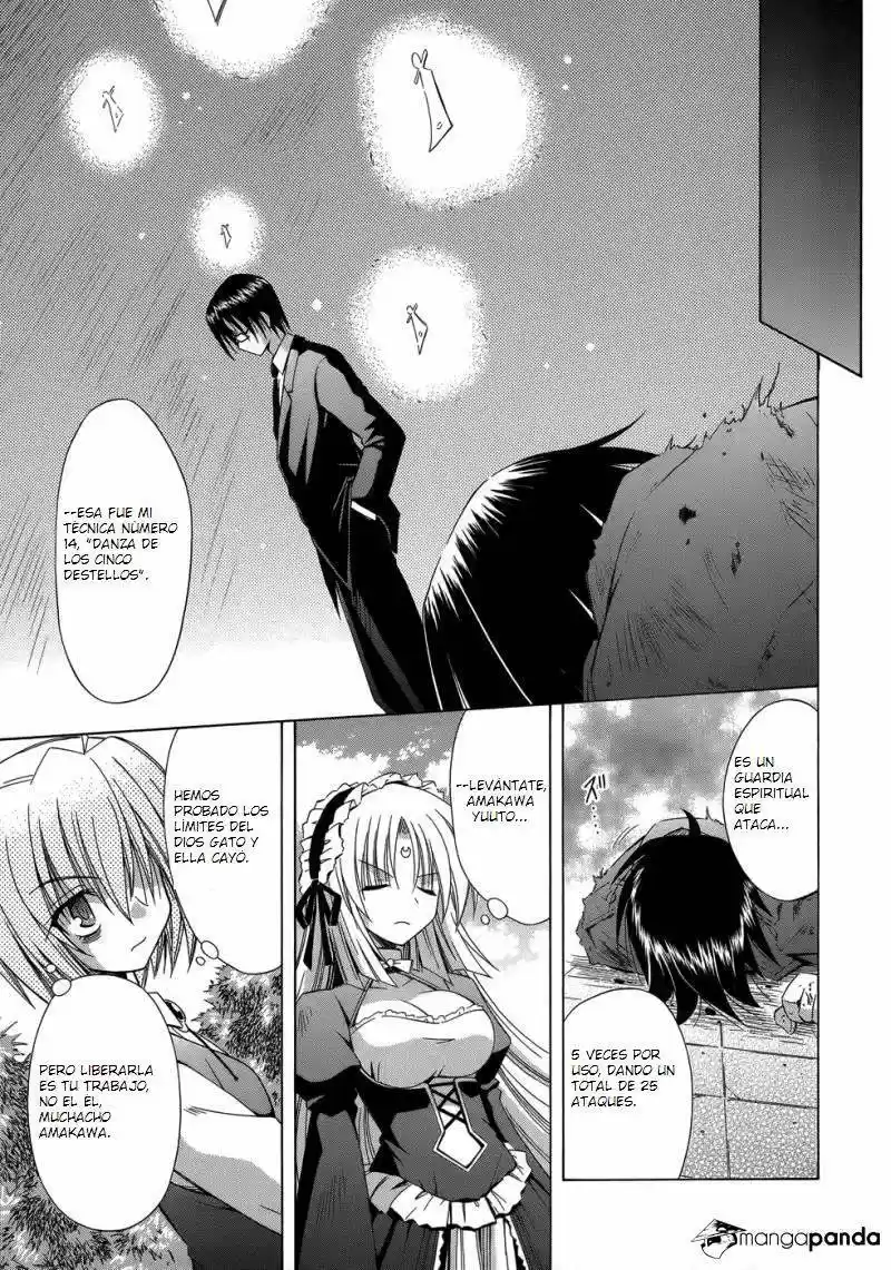 Omamori Himari (2006) - Capítulo 71 - Página 12 - LectorTMOo