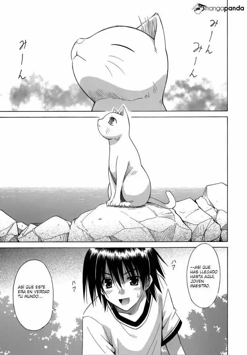 Omamori Himari (2006) - Capítulo 73 - Página 18 - LectorTMOo