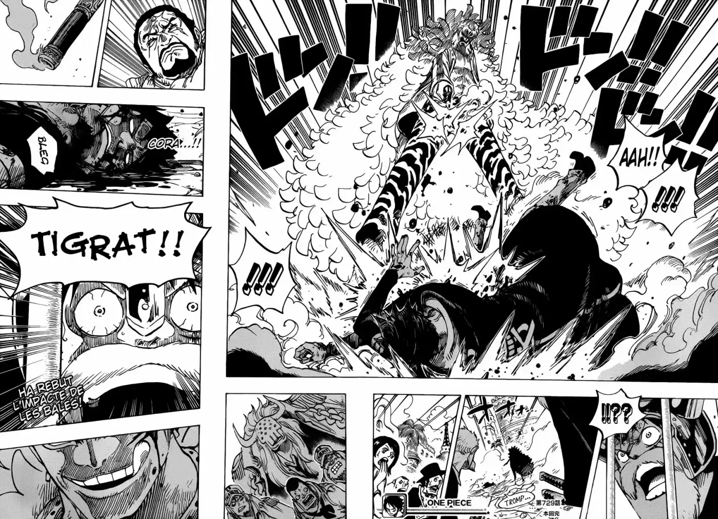 One Piece (Català) (1997) - Capítulo 729 - Página 16 - LectorTMOo