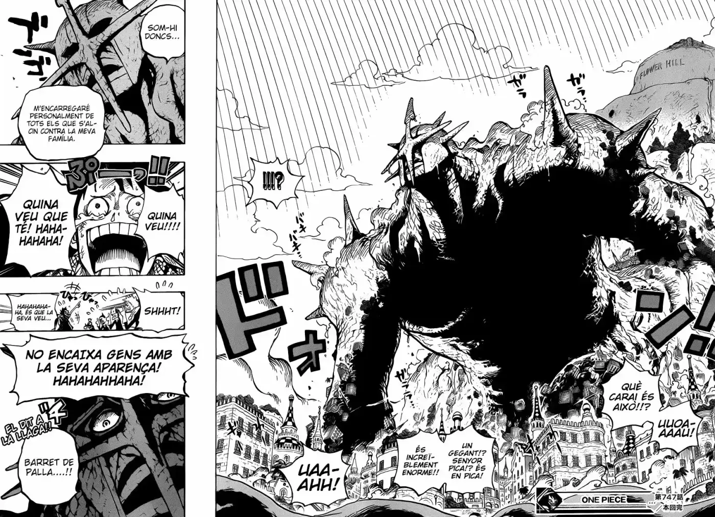 One Piece (Català) (1997) - Capítulo 747 - Página 17 - LectorTMOo