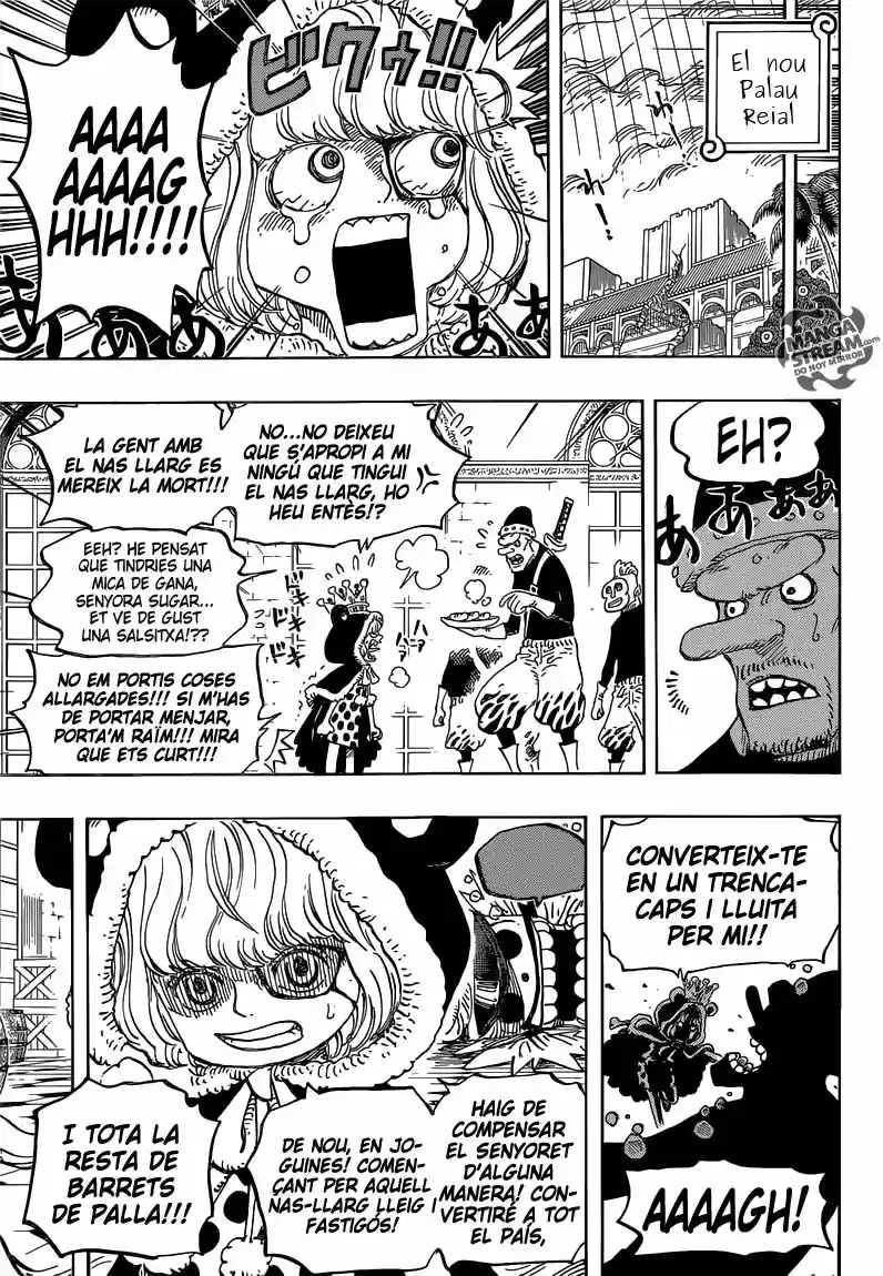 One Piece (Català) (1997) - Capítulo 756 - Página 10 - LectorTMOo