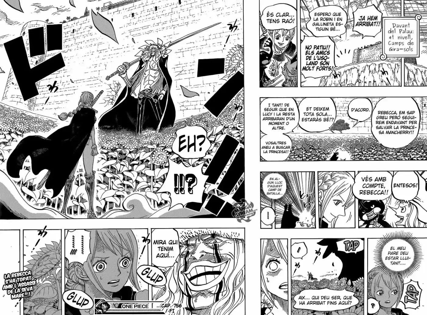 One Piece (Català) (1997) - Capítulo 756 - Página 17 - LectorTMOo
