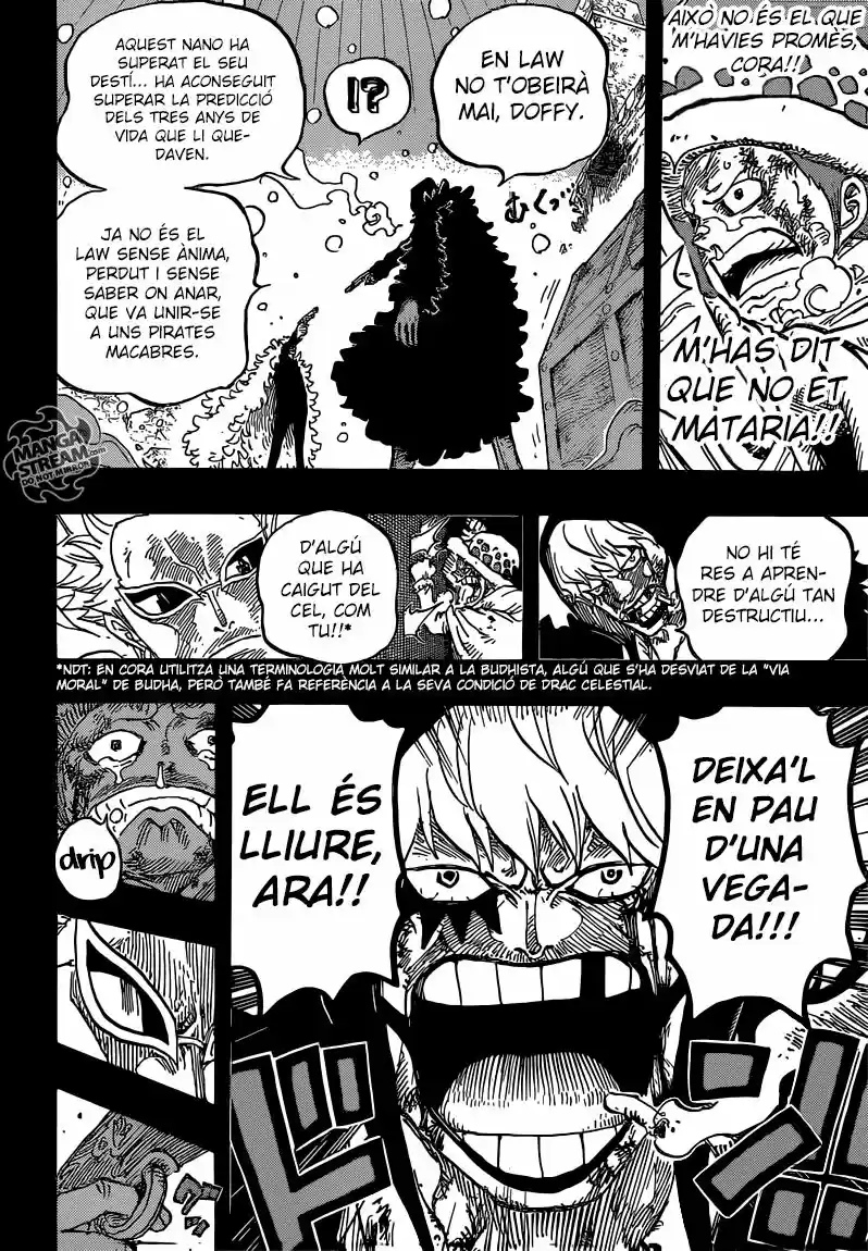 One Piece (Català) (1997) - Capítulo 767 - Página 14 - LectorTMOo