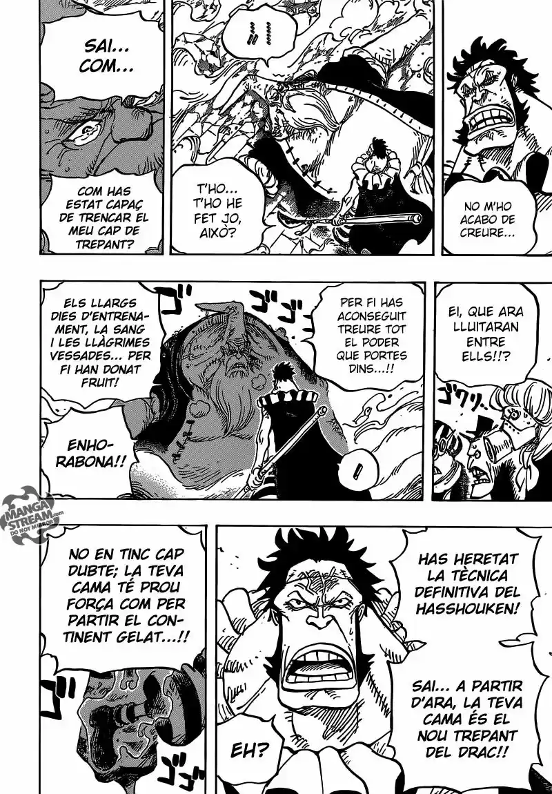 One Piece (Català) (1997) - Capítulo 771 - Página 13 - LectorTMOo