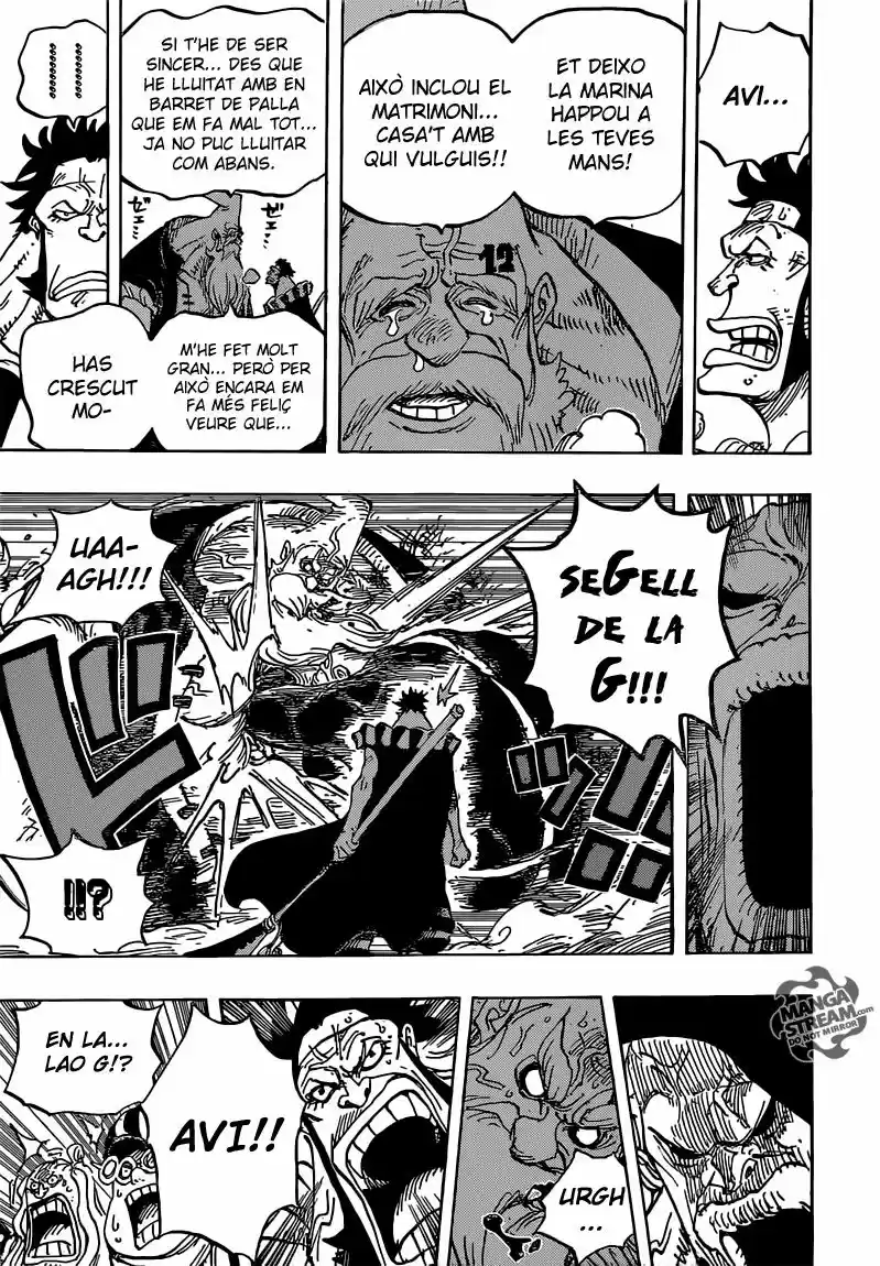 One Piece (Català) (1997) - Capítulo 771 - Página 14 - LectorTMOo