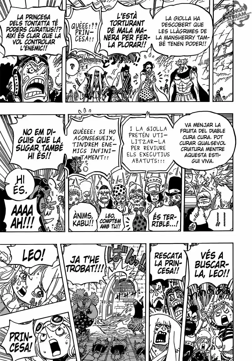 One Piece (Català) (1997) - Capítulo 774 - Página 10 - LectorTMOo