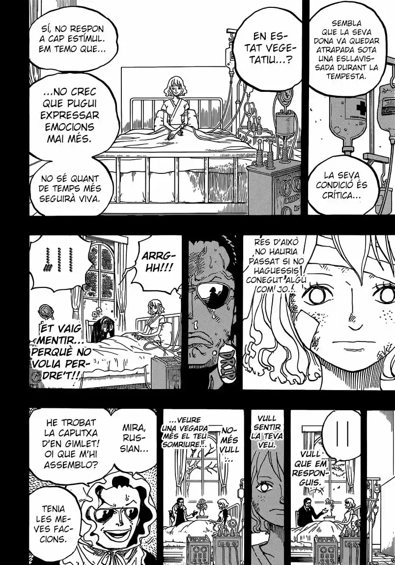 One Piece (Català) (1997) - Capítulo 775 - Página 15 - LectorTMOo