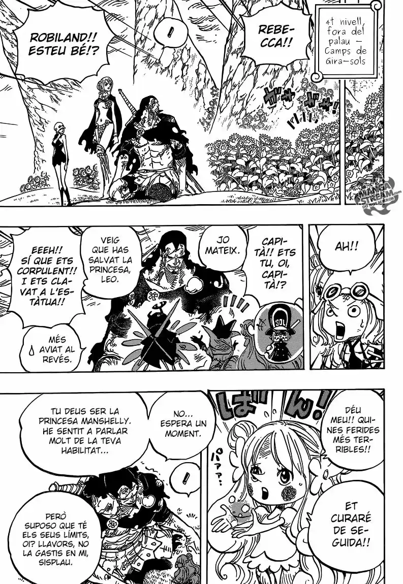 One Piece (Català) (1997) - Capítulo 779 - Página 7 - LectorTMOo