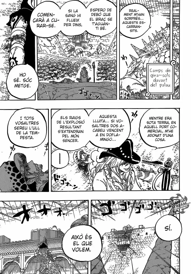 One Piece (Català) (1997) - Capítulo 784 - Página 7 - LectorTMOo