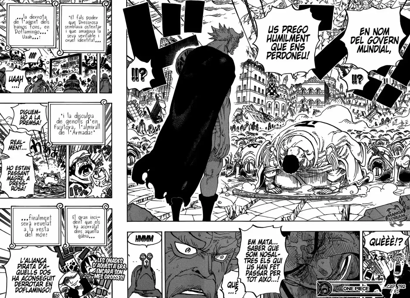 One Piece (Català) (1997) - Capítulo 792 - Página 14 - LectorTMOo