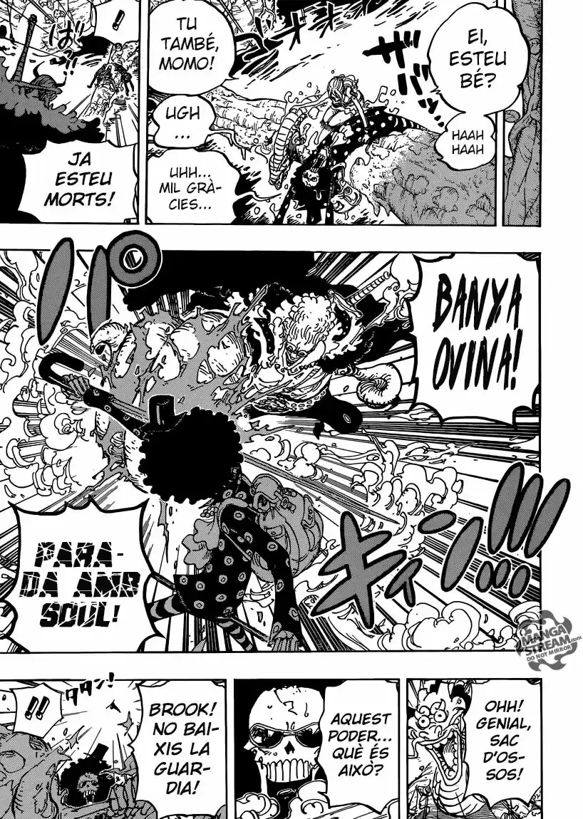One Piece (Català) (1997) - Capítulo 795 - Página 7 - LectorTMOo